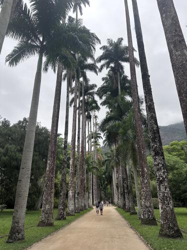 2024_Brazilian_GP_BioPark_Rio_Adam_3583