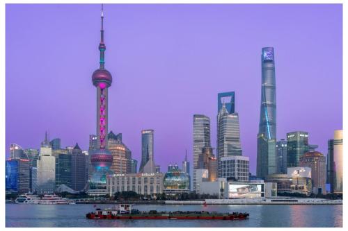 2025 Chinese GP Mitchell F1D Shanghai 5